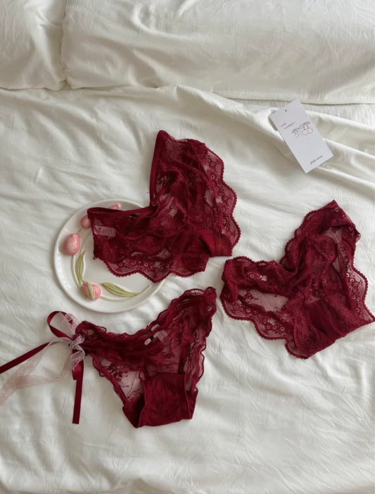 Ruby Romance Lace Brief ( Set of 3 )